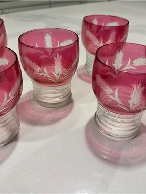 Vintage Cranberry Etched Wheat Glass Tumblers - Set of 6
